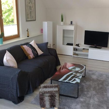 Haus Rebblick Apartment Offenburg Luaran gambar